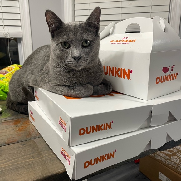 Meet your Posher, Sherry - Picture 1 of 1